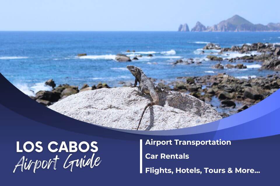 Los Cabos Airport Guide